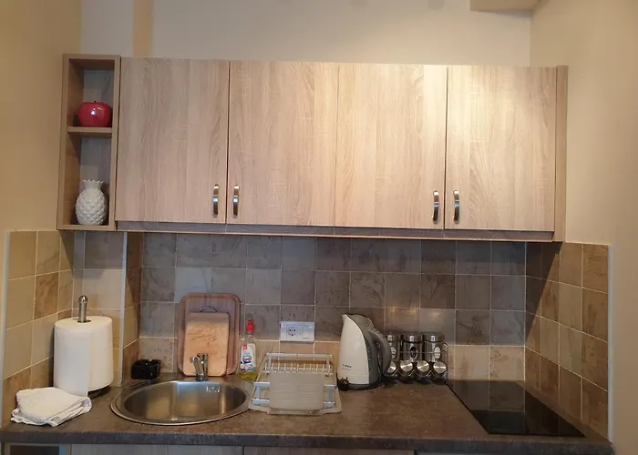 Djuric Lux Gondola 公寓 兹拉蒂博尔