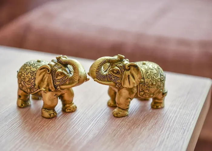 Djuric Lux Gondola 兹拉蒂博尔