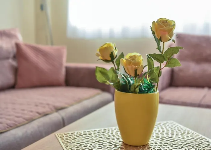 公寓 Djuric Lux Gondola 兹拉蒂博尔