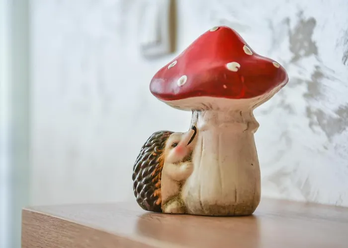 Djuric Lux Gondola 公寓 兹拉蒂博尔